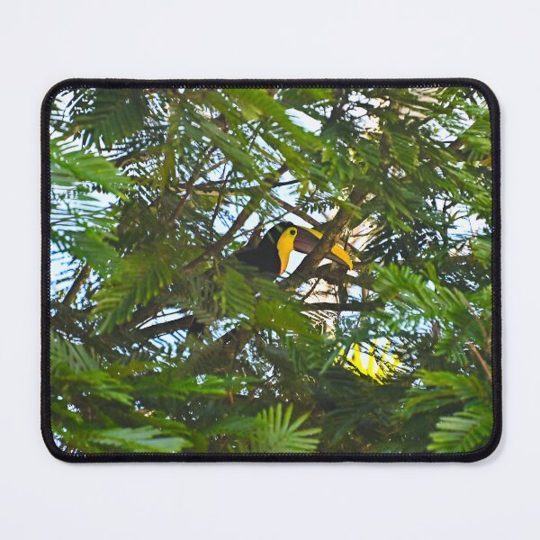 Item preview, Toucan designed and sold by IzzyMeiArt.