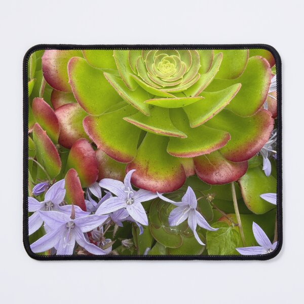 Item preview, Floral Ballet designed and sold by Betsy Phillips.