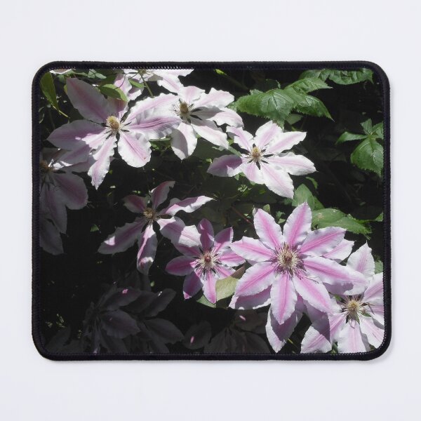 Item preview, A Shower Of Clematis designed and sold by Kashmere1646.