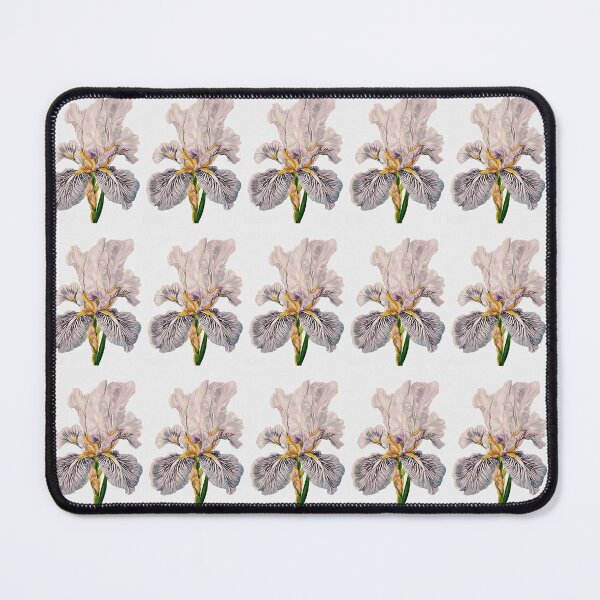 Item preview, "White Iris #2" by JKH63 Jenette Hewitt Art designed and sold by Jenette Hewitt Art.