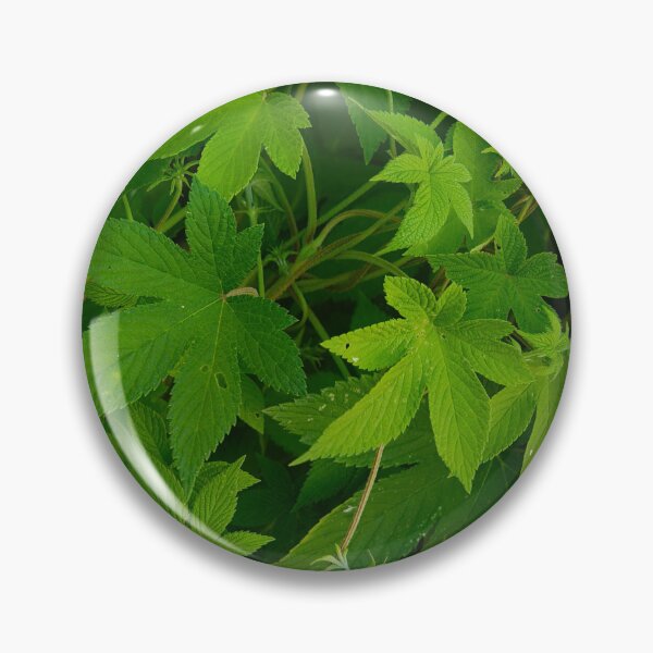 Item preview, GREEN GRASS designed and sold by oneohoneStore.