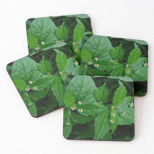Item preview, GREEN GRASS designed and sold by oneohoneStore.