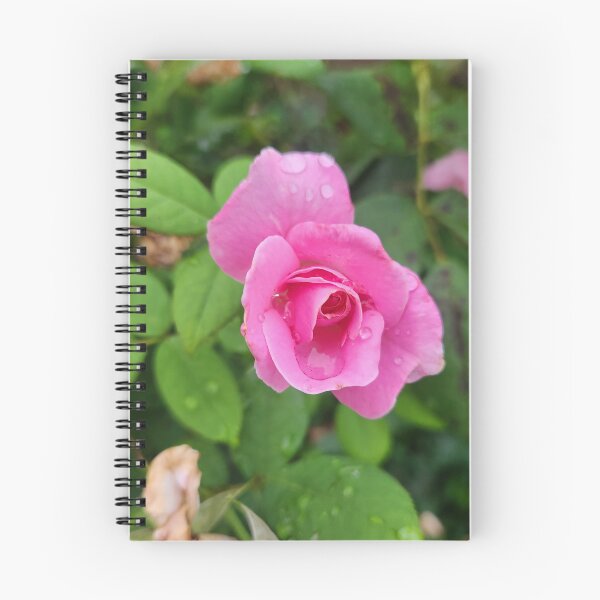 Item preview, Phelicia Rose designed and sold by Ajamu Offord.