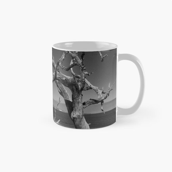 Aperçu de l'œuvre Arbre de bois flotté # 1 créée et vendue par GalleryThree.