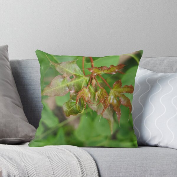 Item preview, green grass designed and sold by oneohoneStore.