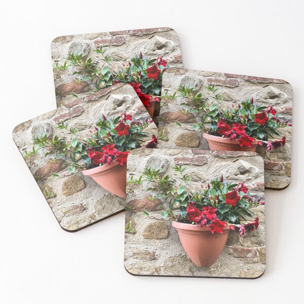 Item preview, Mandevilla Blooms in Castiglione della Pescaia designed and sold by Diego Re.
