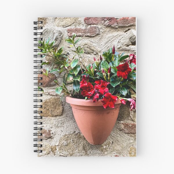 Item preview, Mandevilla Blooms in Castiglione della Pescaia designed and sold by Diego Re.