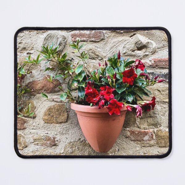 Item preview, Mandevilla Blooms in Castiglione della Pescaia designed and sold by Diego Re.