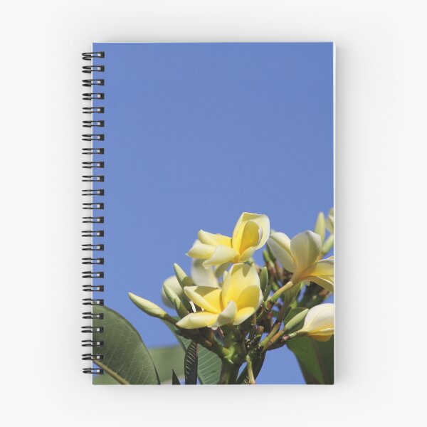 Item preview, Yellow Frangipani Flowers Against A Clear Blue Sky designed and sold by 27Tammy27.