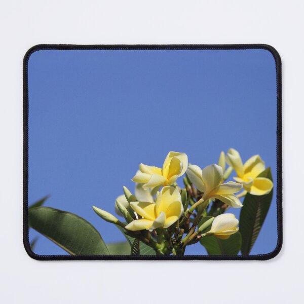 Item preview, Yellow Frangipani Flowers Against A Clear Blue Sky designed and sold by 27Tammy27.