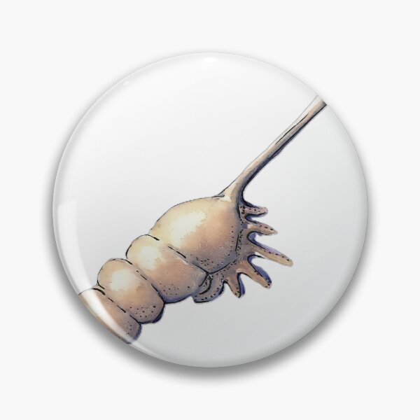 Item preview, Tibia Shell Watercolour Art – Coastal Seashell Illustration designed and sold by ArtwithKellie.