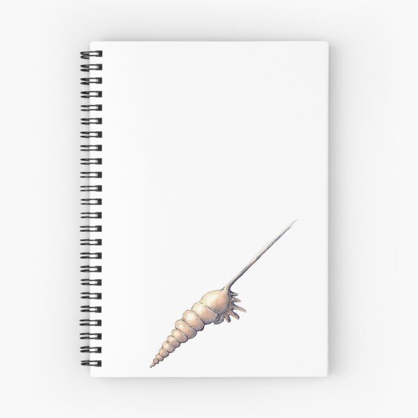 Item preview, Tibia Shell Watercolour Art – Coastal Seashell Illustration designed and sold by ArtwithKellie.