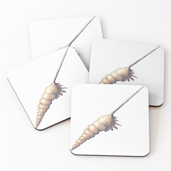 Item preview, Tibia Shell Watercolour Art – Coastal Seashell Illustration designed and sold by ArtwithKellie.