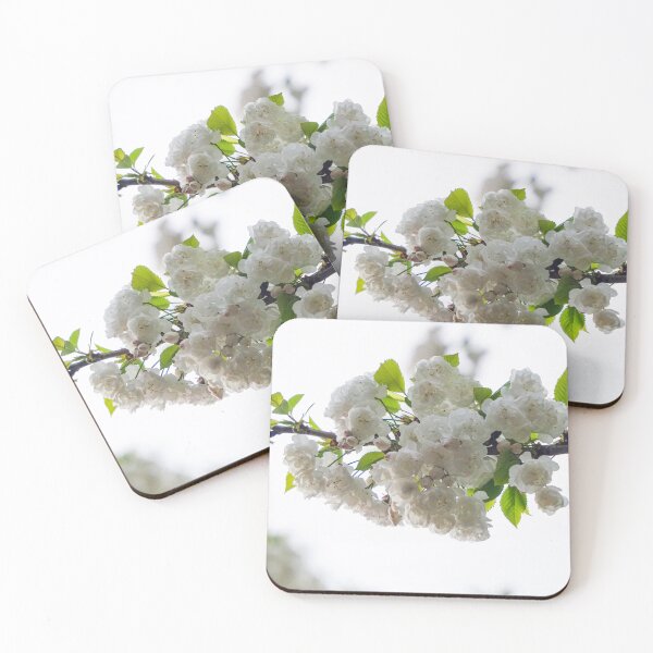 Item preview, White Cherry Blossom Branch Close-Up designed and sold by pigeonlovrs.