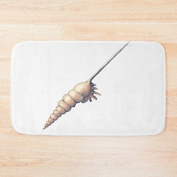 Item preview, Tibia Shell Watercolour Art – Coastal Seashell Illustration designed and sold by ArtwithKellie.