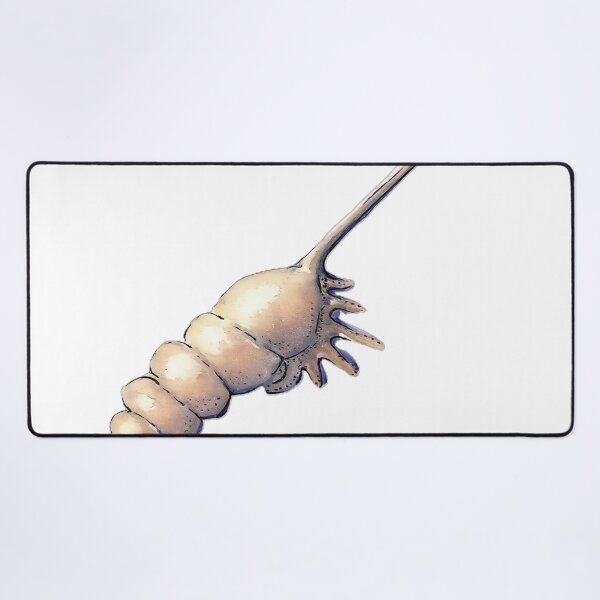 Item preview, Tibia Shell Watercolour Art – Coastal Seashell Illustration designed and sold by ArtwithKellie.