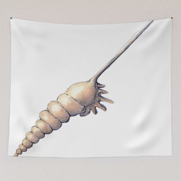 Item preview, Tibia Shell Watercolour Art – Coastal Seashell Illustration designed and sold by ArtwithKellie.