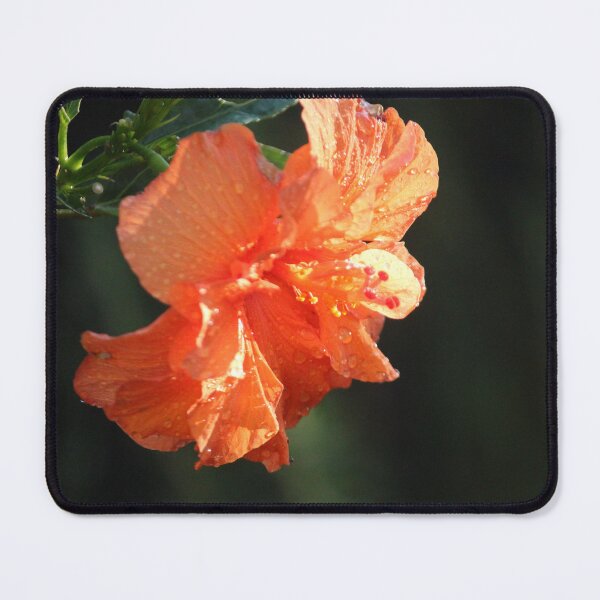 Item preview, orange blooms designed and sold by ljdewet.