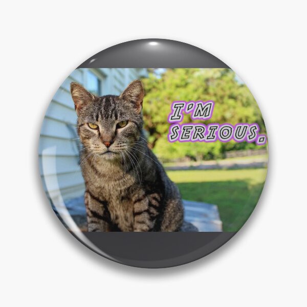 Item preview, I'm Serious Cat Funny Meme Kitty Design designed and sold by Blackfire's Witchy Wonders.
