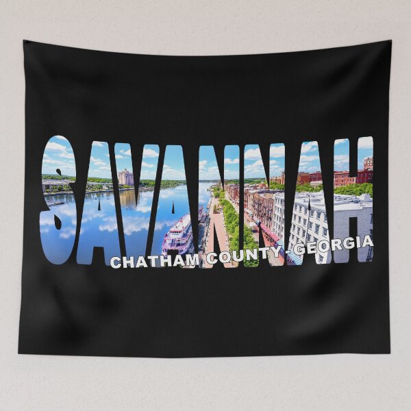 Item preview, SAVANNAH Chatham County Georgia - USA Paddle Riverboat Riverwalk designed and sold by Adam Gormley.