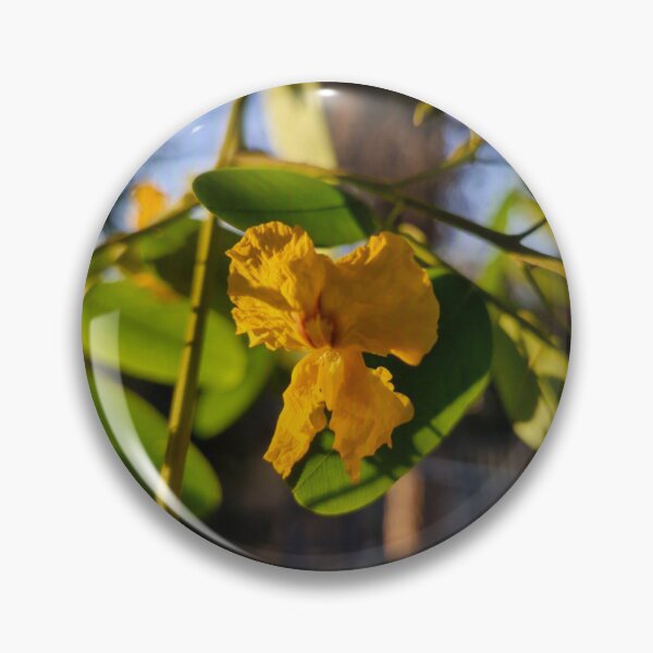 Item preview, summer bloom, Tipuana tipu designed and sold by Lunar-Dragon.