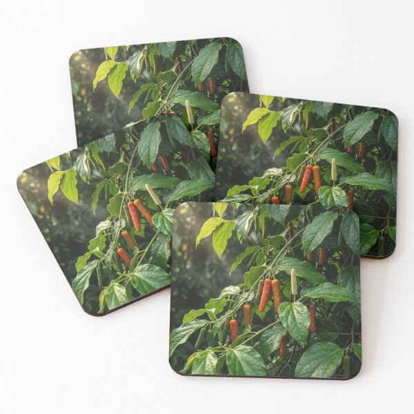 Item preview, Vibrant Long Pepper Vines: Tropical Botanical Garden designed and sold by Mindful Heritage.