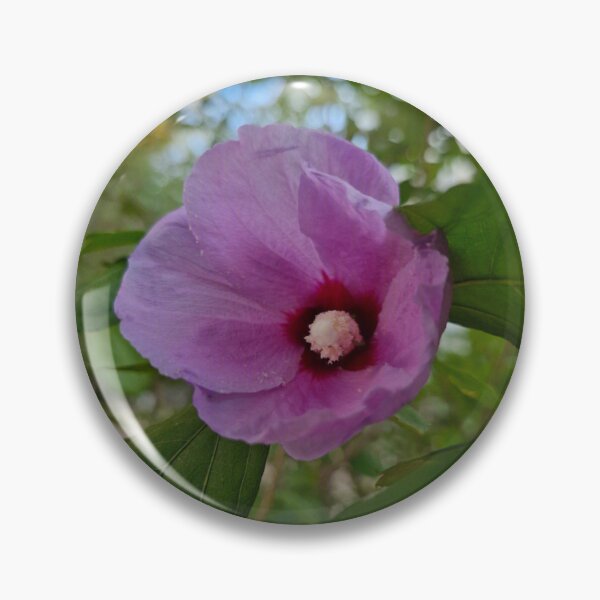 Artikelvorschau, Sommerblüte, Hibiscus syriacus entworfen und verkauft von Lunar-Dragon.