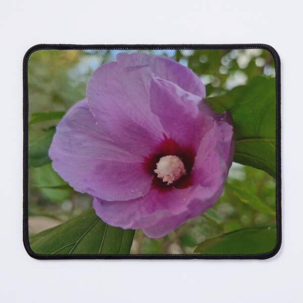 Item preview, summer bloom, Hibiscus syriacus designed and sold by Lunar-Dragon.