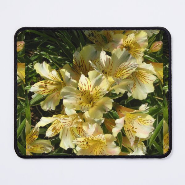 Item preview, Yellow Alstroemeria Peruvian Lily designed and sold by JoyousArt4u.
