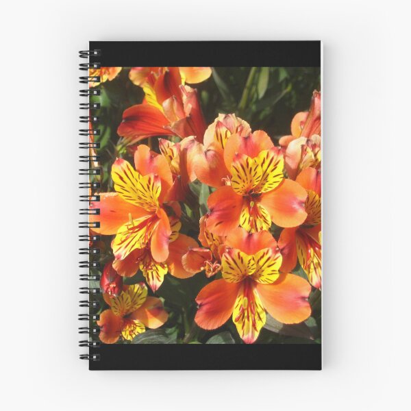 Item preview, Alstroemeria Lily of the Incas in Flame Colors designed and sold by JoyousArt4u.