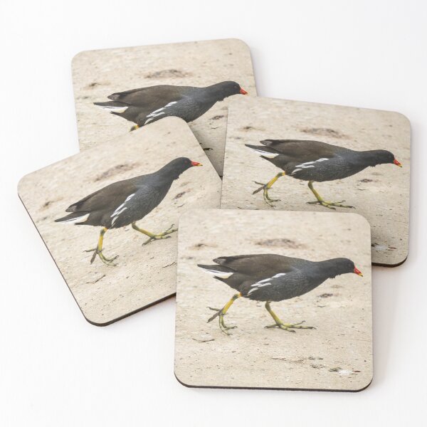Item preview, Common Moorhen Walking on Sandy Ground designed and sold by pigeonlovrs.