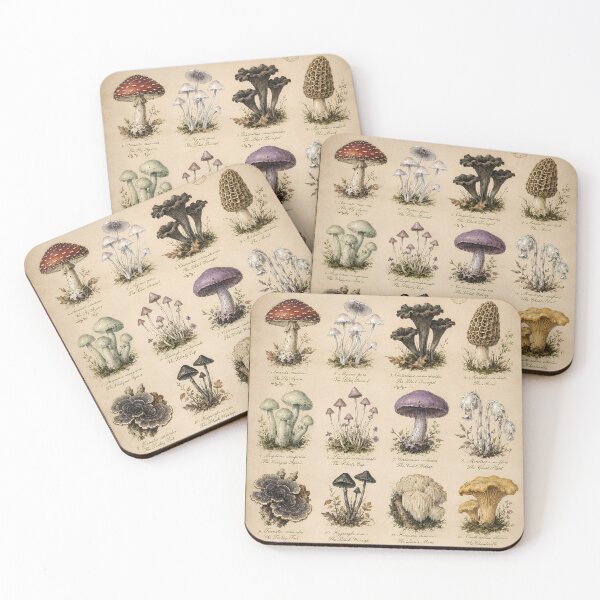 Item preview, Vintage Mushroom Fungi Specimen Chart Botanical Field Guide designed and sold by WhimsyandWishes.