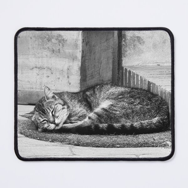 Item preview, Sleeping Cat in the Borgo Italy designed and sold by Diego Re.
