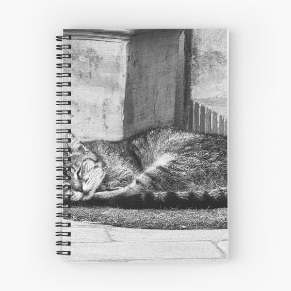 Item preview, Sleeping Cat in the Borgo Italy designed and sold by Diego Re.