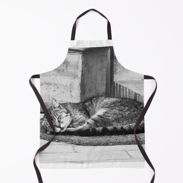 Item preview, Sleeping Cat in the Borgo Italy designed and sold by Diego Re.