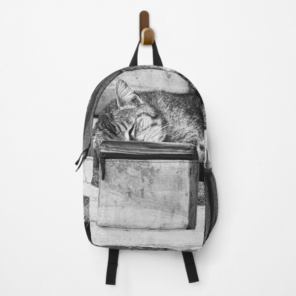 Item preview, Sleeping Cat in the Borgo Italy designed and sold by Diego Re.