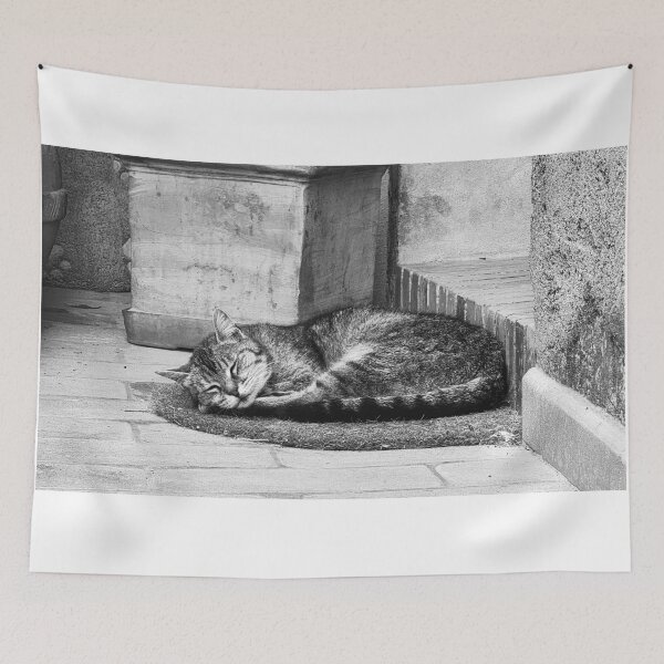 Item preview, Sleeping Cat in the Borgo Italy designed and sold by Diego Re.
