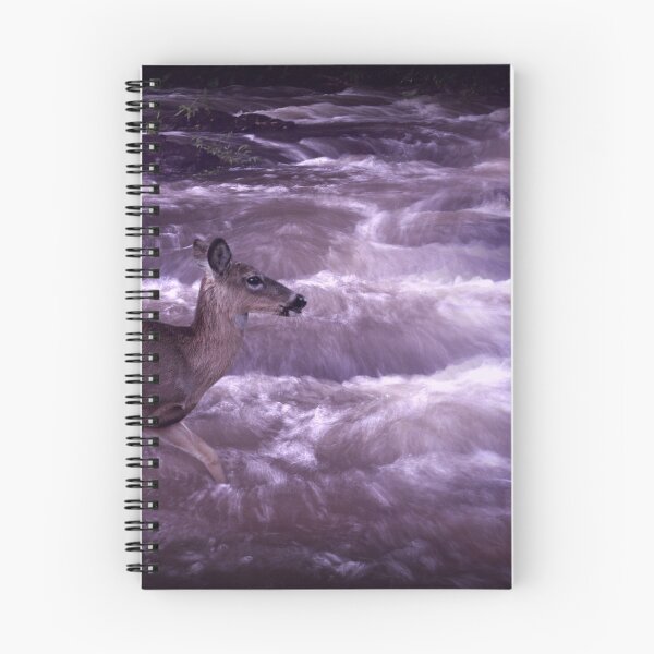 Item preview, Apprehension designed and sold by Bill Stephens.