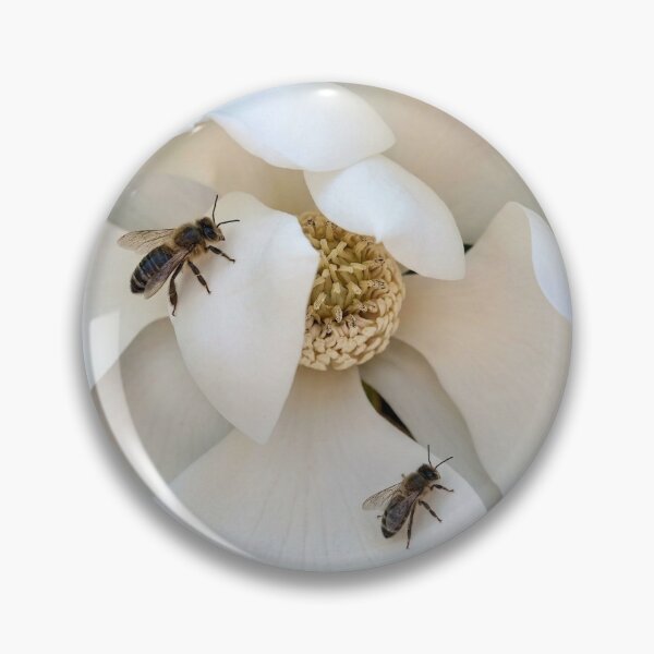 Item preview, Bees on Magnolia Blossom designed and sold by Carol Ames Art.