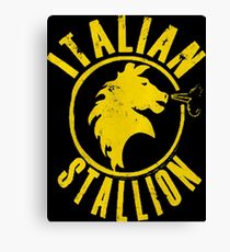 Italian Stallion Canvas Print