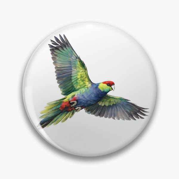 Item preview, Red-capped Parrot in Flight | Watercolour Australian Parrot designed and sold by Jaruart.
