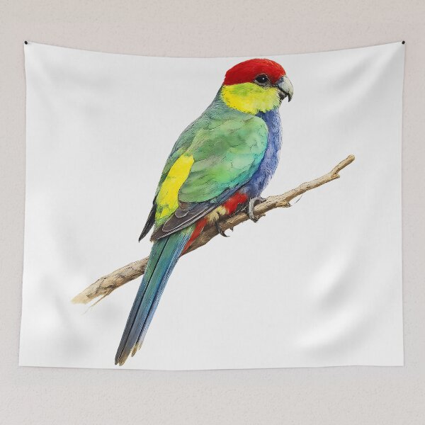 Item preview, Red-capped Parrot Watercolour Painting | WA Native Bird designed and sold by Jaruart.