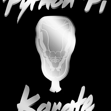 Artwork thumbnail, Python Pi Karate Metal Effect by BRU Design