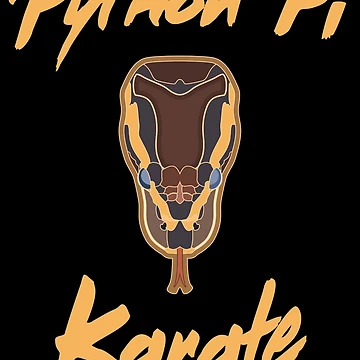 Artwork thumbnail, Python Pi Karate by BRU Design