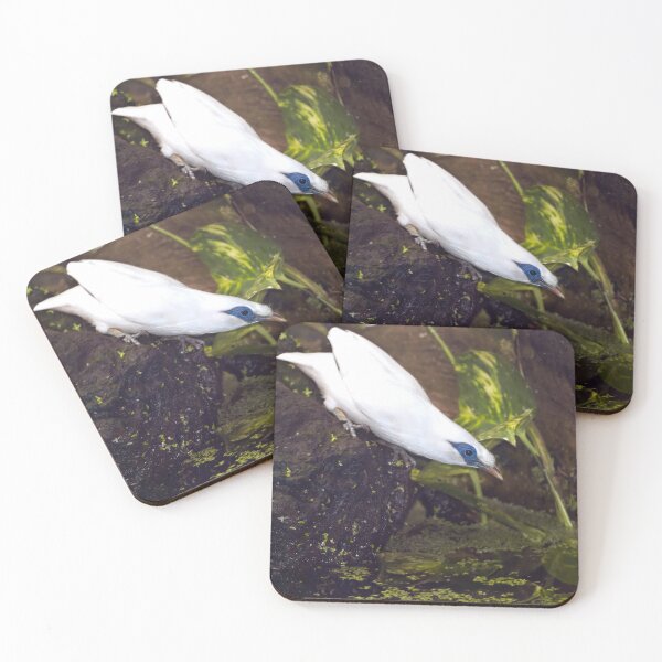 Item preview, Bali Myna Tropical Bird Photo Painting designed and sold by Vac1.