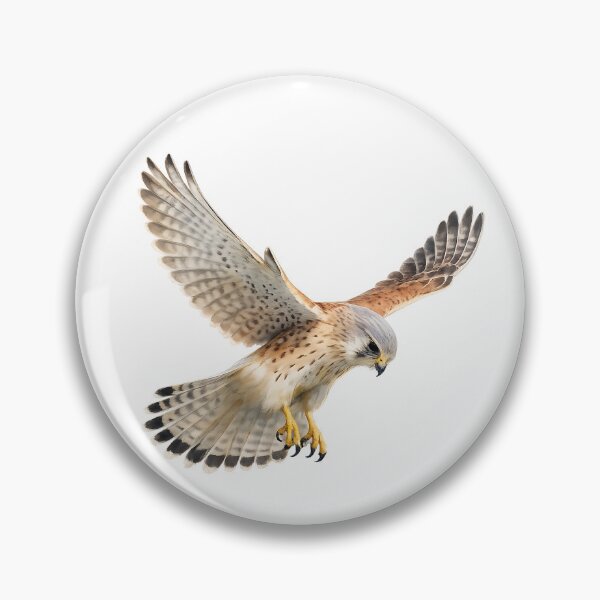 Item preview, Nankeen Kestrel Hovering | Watercolour Australian Falcon designed and sold by Jaruart.