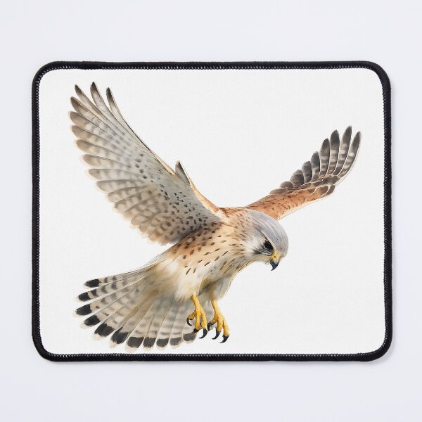 Item preview, Nankeen Kestrel Hovering | Watercolour Australian Falcon designed and sold by Jaruart.