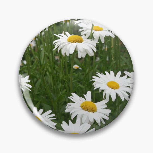 Item preview, Summer Daisies designed and sold by mistyrose.