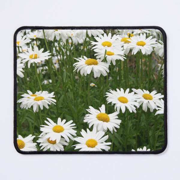 Item preview, Summer Daisies designed and sold by mistyrose.