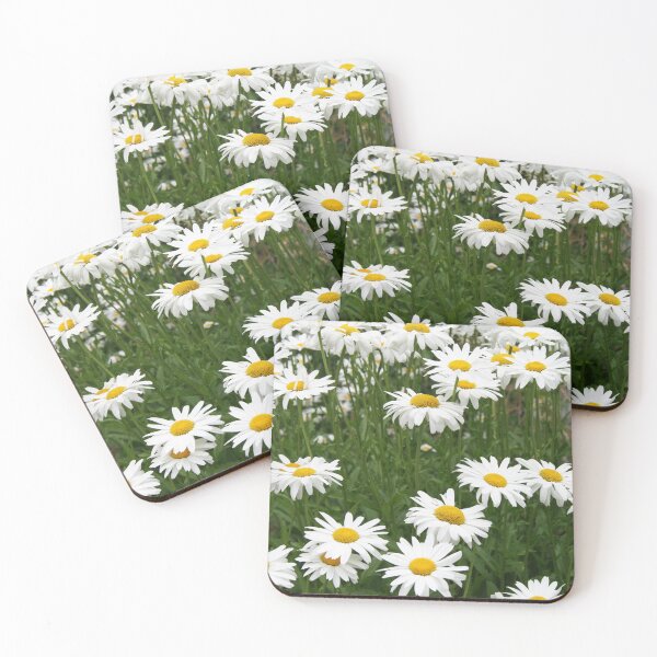 Item preview, Summer Daisies designed and sold by mistyrose.